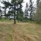 13114 18th Avenue NW, Marysville, WA 98271 ID:10566771