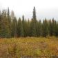37786 Eagleson Avenue, Sterling, AK 99672 ID:10537460