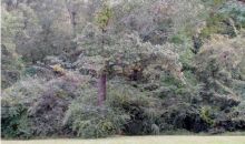 Lot 29 Lakeshire Cir Canton, MS 39046