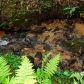 9320 Blackwell Creek Way, Jasper, GA 30143 ID:10098201