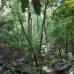 9320 Blackwell Creek Way, Jasper, GA 30143 ID:10098203