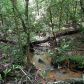9320 Blackwell Creek Way, Jasper, GA 30143 ID:10098204