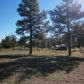 1096 Aspen Way, Show Low, AZ 85901 ID:10640074