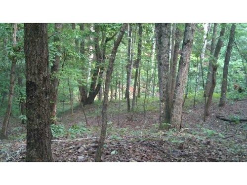 5267 Howington Road, Braselton, GA 30517