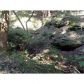 5267 Howington Road, Braselton, GA 30517 ID:10552251