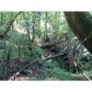 5267 Howington Road, Braselton, GA 30517 ID:10552252