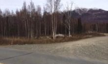 10090 S Resilience Drive Palmer, AK 99645