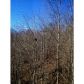 1482 Quail Cove Drive, Jasper, GA 30143 ID:10033051