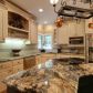255 Indigo Bunting Trail, Jasper, GA 30143 ID:10498523