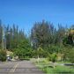 12620 SW 2ND ST, Fort Lauderdale, FL 33325 ID:10278723