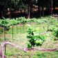 5479 Vineyard Park Trail Lane, Norcross, GA 30071 ID:10657156