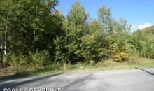 12729 Spring Brook Drive Eagle River, AK 99577