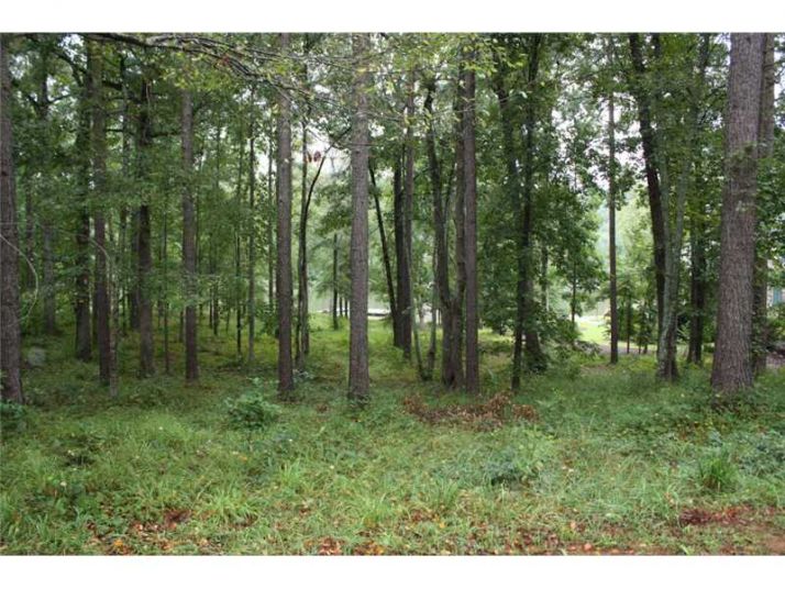 1190 Paloma Drive, Greensboro, GA 30642