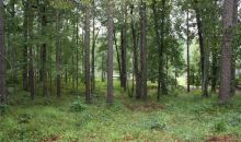 1190 Paloma Drive Greensboro, GA 30642