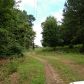 1322 Etheridge Drive, Auburn, GA 30011 ID:10821085
