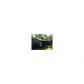 287 Hill Street, Homer, GA 30547 ID:10797612