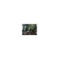 287 Hill Street, Homer, GA 30547 ID:10797613