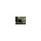 287 Hill Street, Homer, GA 30547 ID:10797619