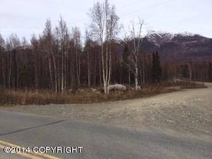 10090 S Resilience Drive, Palmer, AK 99645