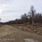 10090 S Resilience Drive, Palmer, AK 99645 ID:10655672