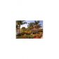 3972 N 87TH AV # 3972, Fort Lauderdale, FL 33351 ID:10862053