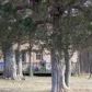 County Road 236, Eureka Springs, AR 72631 ID:10816961