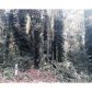709 Fern Street, Marietta, GA 30067 ID:10773163