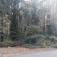 709 Fern Street, Marietta, GA 30067 ID:10773165