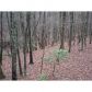 271 Crazy Bear Ridge, Jasper, GA 30143 ID:10033243