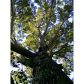 331 Clifton Road Ne, Atlanta, GA 30307 ID:10891898