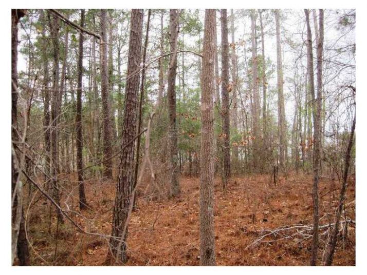 47 Sheffield Lane, Sparta, GA 31087