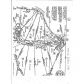 13 N Etowah Downs Court, Ball Ground, GA 30107 ID:10900096