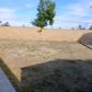 16682 San Jacinto Avenue, Fontana, CA 92336 ID:10989414