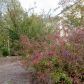 96 Moorings Run, Jasper, GA 30143 ID:10831009