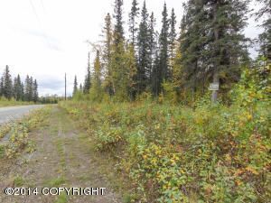 3990 N Fireweed Fields Drive, Wasilla, AK 99654