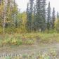 3990 N Fireweed Fields Drive, Wasilla, AK 99654 ID:10850290