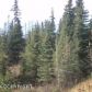 Tr 1 Old Sterling Highway, Homer, AK 99603 ID:11054394