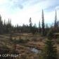 Tr 1 Old Sterling Highway, Homer, AK 99603 ID:11054395