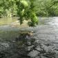 874 Chattahoochee Acres Drive, Cleveland, GA 30528 ID:10812708