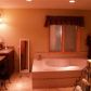 215 Timberlake Trail, Blue Ridge, GA 30513 ID:10999323