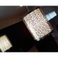 9362 ARBORWOOD CR, Fort Lauderdale, FL 33328 ID:11071196