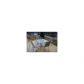 129 Indian Ridge Place, Waleska, GA 30183 ID:11098202