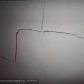 2443 COOLIDGE ST, Hollywood, FL 33020 ID:11160102