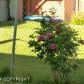 8251 Country Woods Drive, Anchorage, AK 99502 ID:11012347