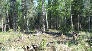 7927 W Hentila Street, Wasilla, AK 99654