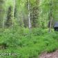 2827 N June Lane, Wasilla, AK 99654 ID:11152324