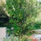 12549 Alpine Drive, Anchorage, AK 99516 ID:10906840