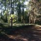 2989 Byington Circl, Tallahassee, FL 32303 ID:11174001