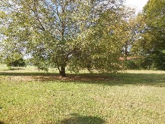 3117 Matthews Ln, Decatur, AL 35603