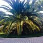 613 HIBISCUS DR, Hallandale, FL 33009 ID:11157125